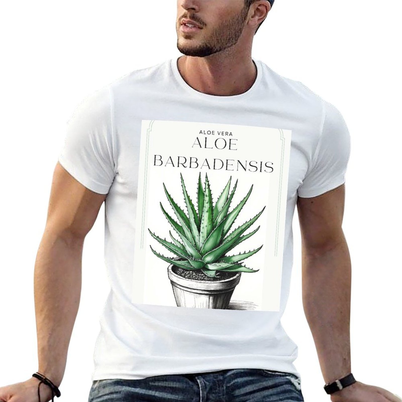 Aloe Vera Pot - Botanische Aloe Vera im Topf, rustikale