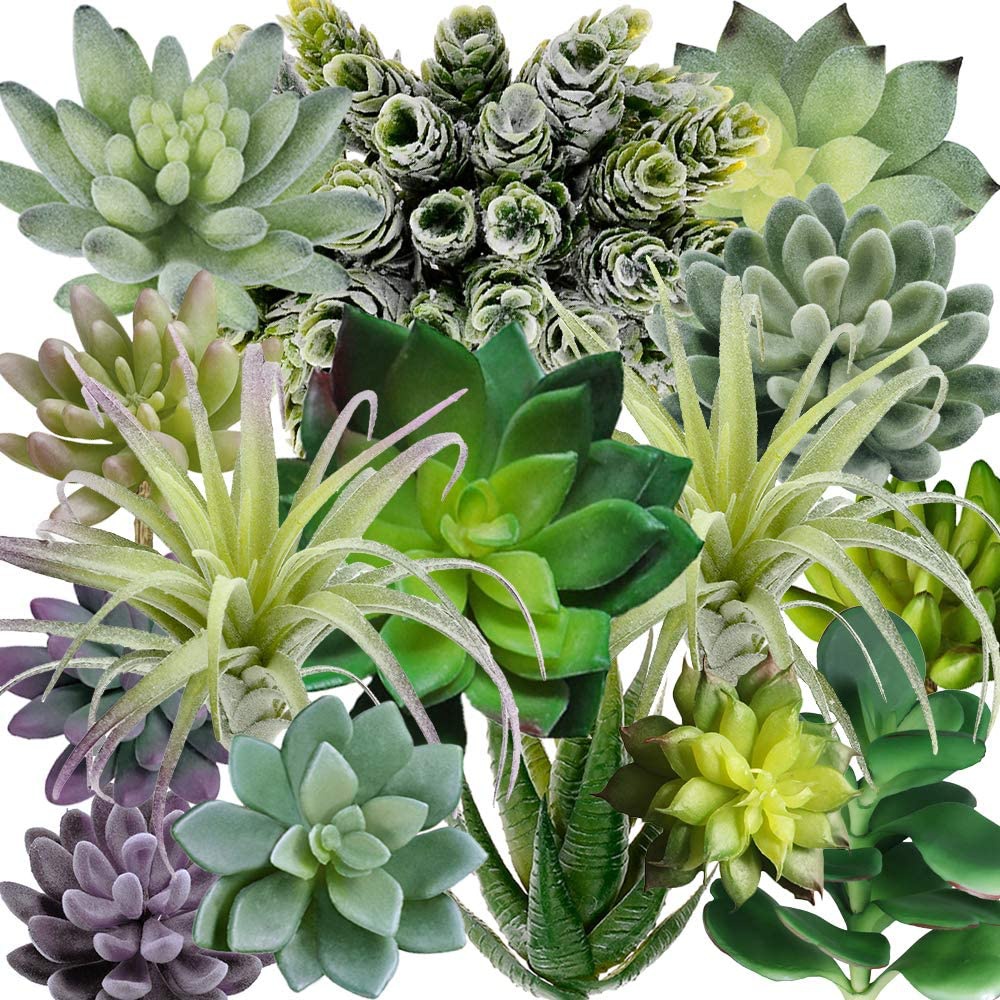 Echeveria Succulent - 15er-Pack Sortierte Künstliche Sukkulenten Pflanzen Ohne