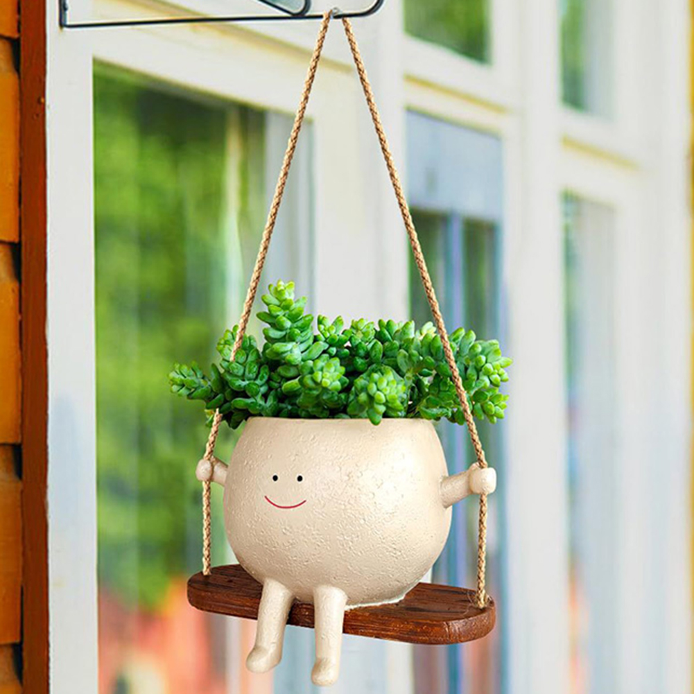 Pflanzen Aufhänger Körbe Schön – Echeveria Succulent Bewertung und Preis