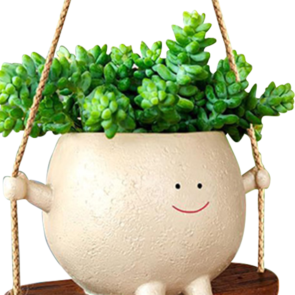 Pflanzen Aufhänger Körbe Schön – Echeveria Succulent Bewertung und Preis
