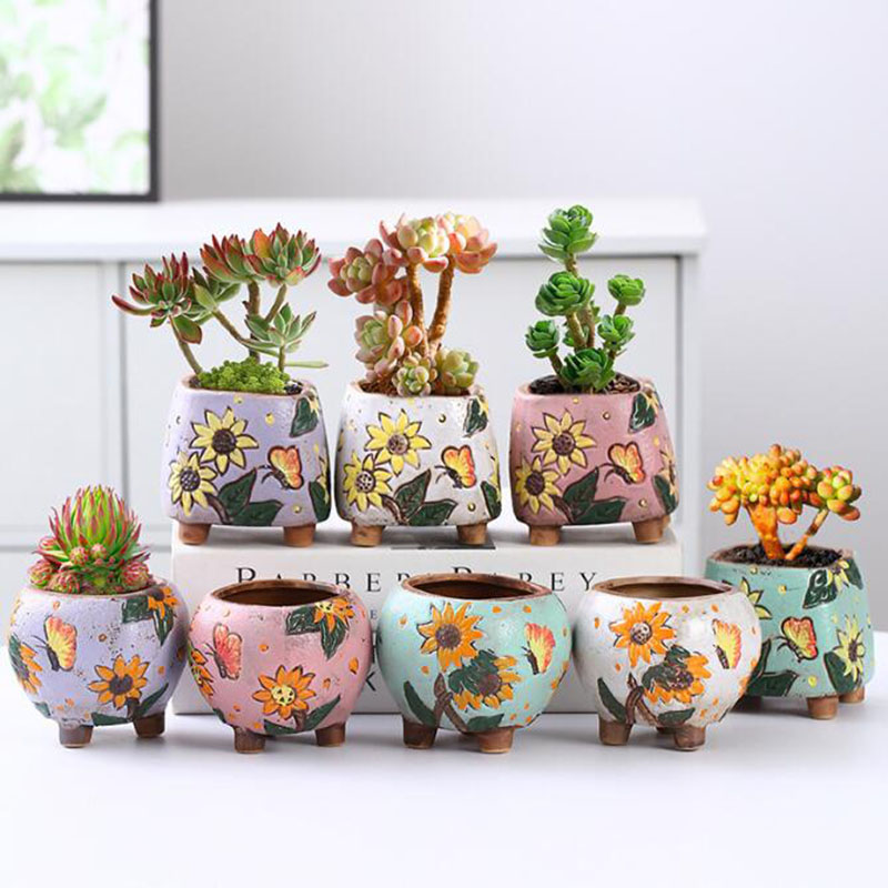 Koreanischen Stil Sonnenblumen – Echeveria Succulent Bewertung und Preis