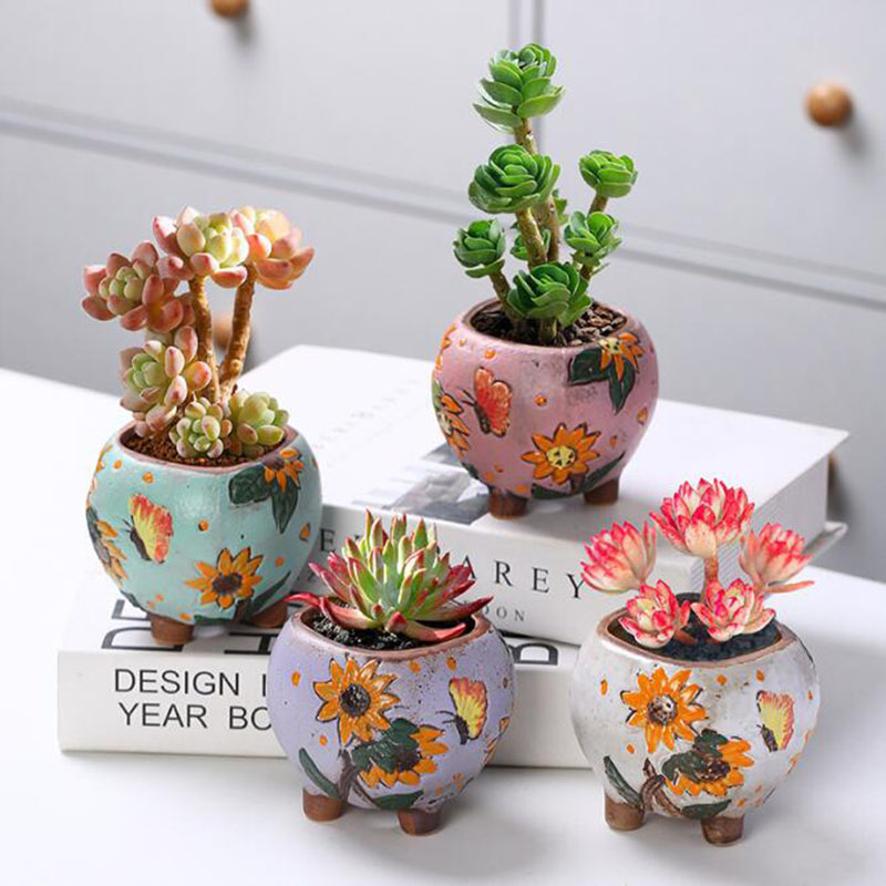 Koreanischen Stil Sonnenblumen – Echeveria Succulent Bewertung und Preis