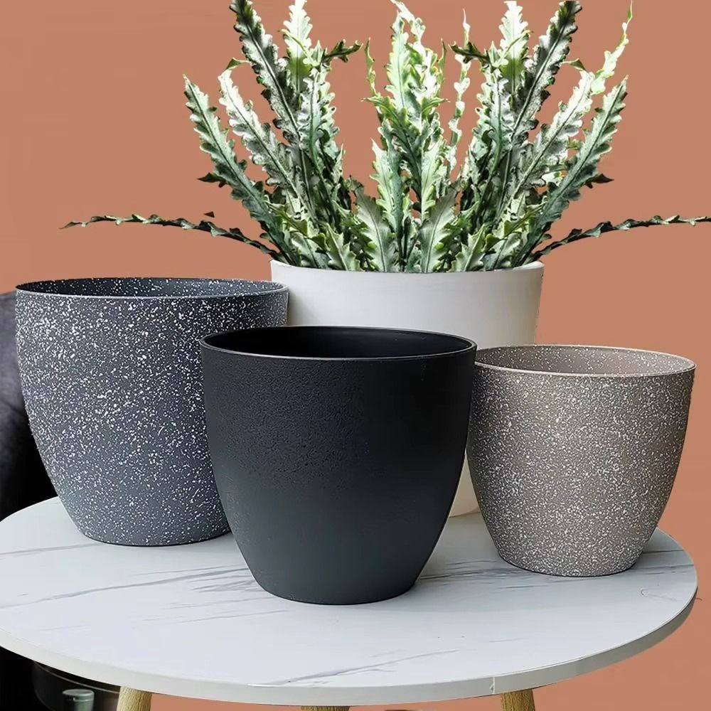 Mattierte Imitation Stein Bons – Aloe Vera Pot Bewertung und Preis