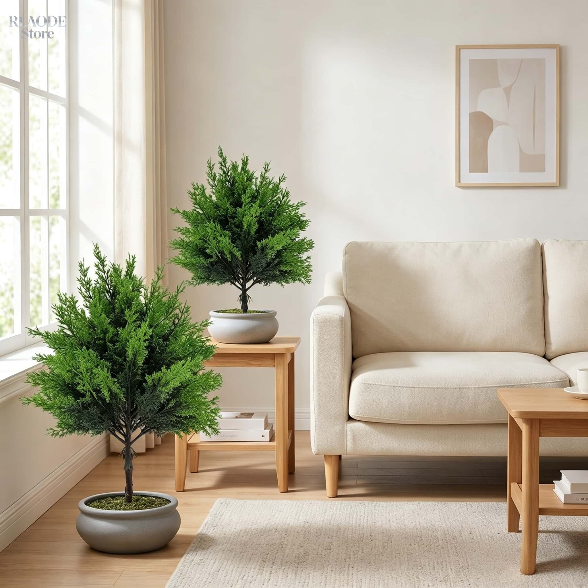 2 Stück künstliches Grün für d – Dracaena Marginata Bewertung und Preis