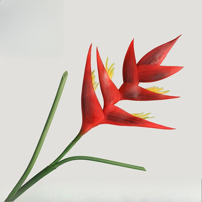 1PCS 85cm Künstliche Strelitzi – Bird Paradise Strelitzia Bewertung und Preis