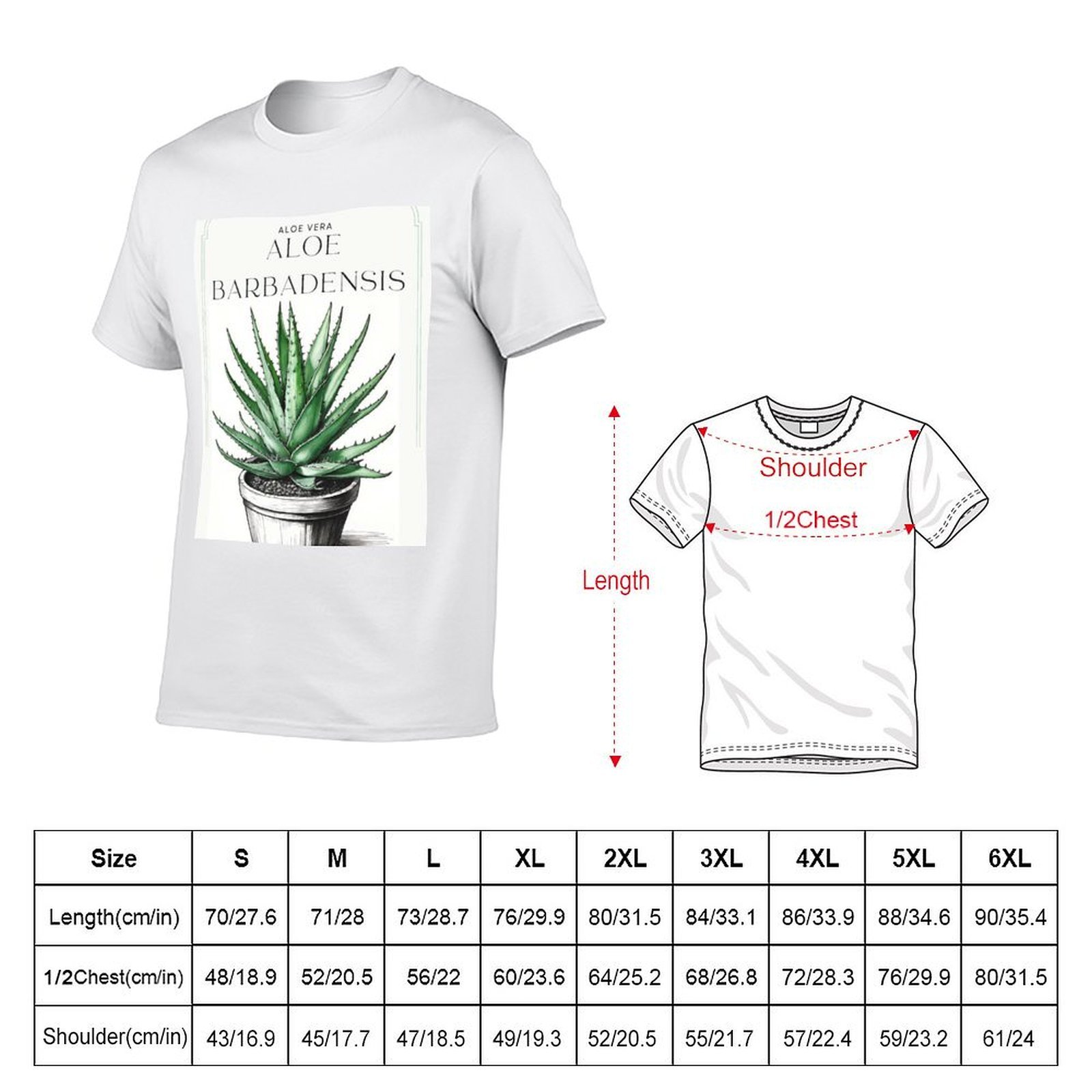 Botanische Aloe Vera im Topf,  – Aloe Vera Pot Bewertung und Preis