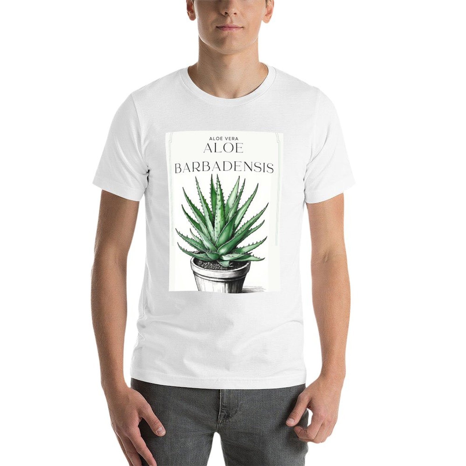 Botanische Aloe Vera im Topf,  – Aloe Vera Pot Bewertung und Preis