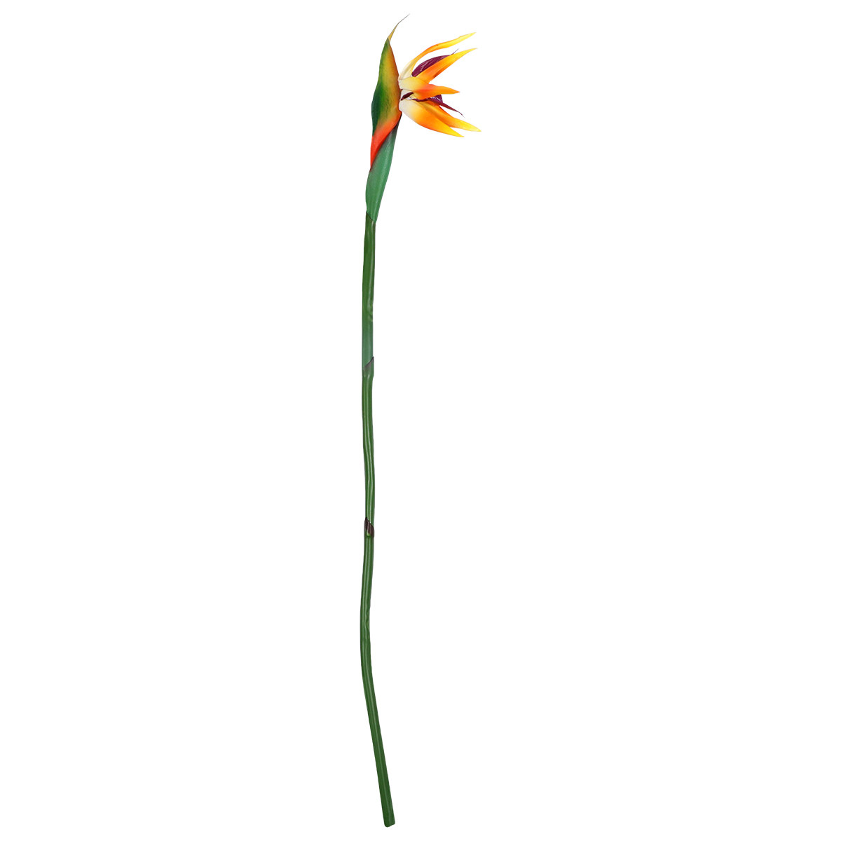 Künstliche Strelitzie-Blume mi – Bird Paradise Strelitzia Bewertung und Preis