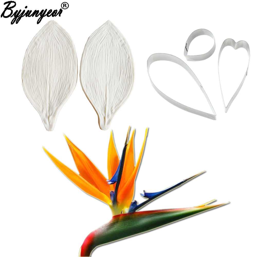 Große Gumpaste Strelitzia Vöge – Bird Paradise Strelitzia Bewertung und Preis