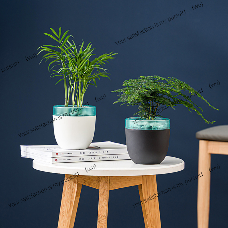 Automatischer Wasseraufnahme-L – Aloe Vera Pot Bewertung und Preis