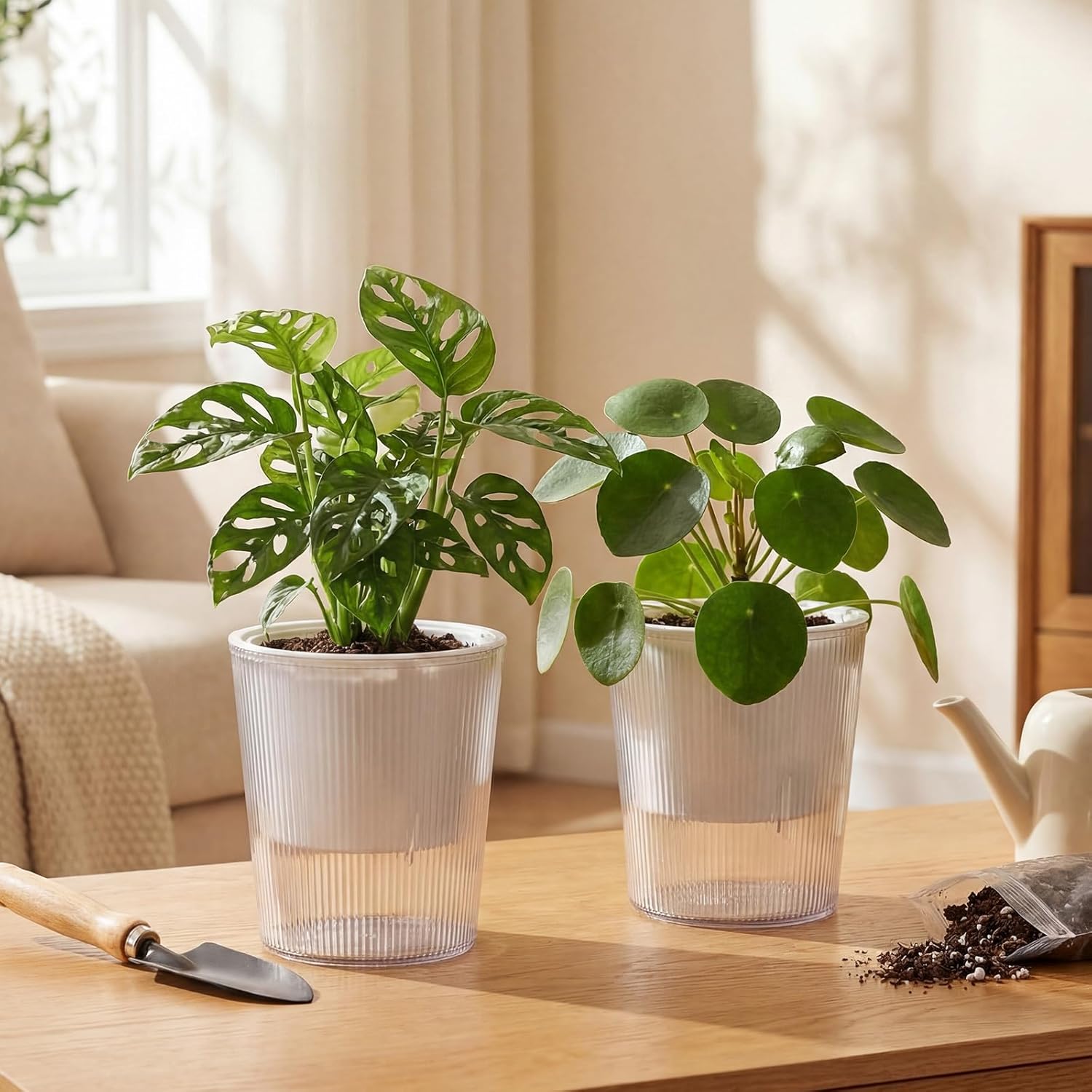 Transparente Selbstbewässernde – Aloe Vera Pot Bewertung und Preis