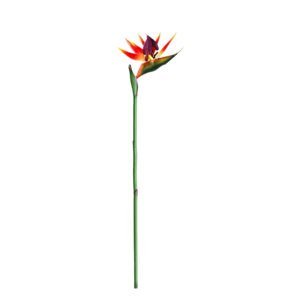 Künstliche Strelitzie mit lang – Bird Paradise Strelitzia Bewertung und Preis