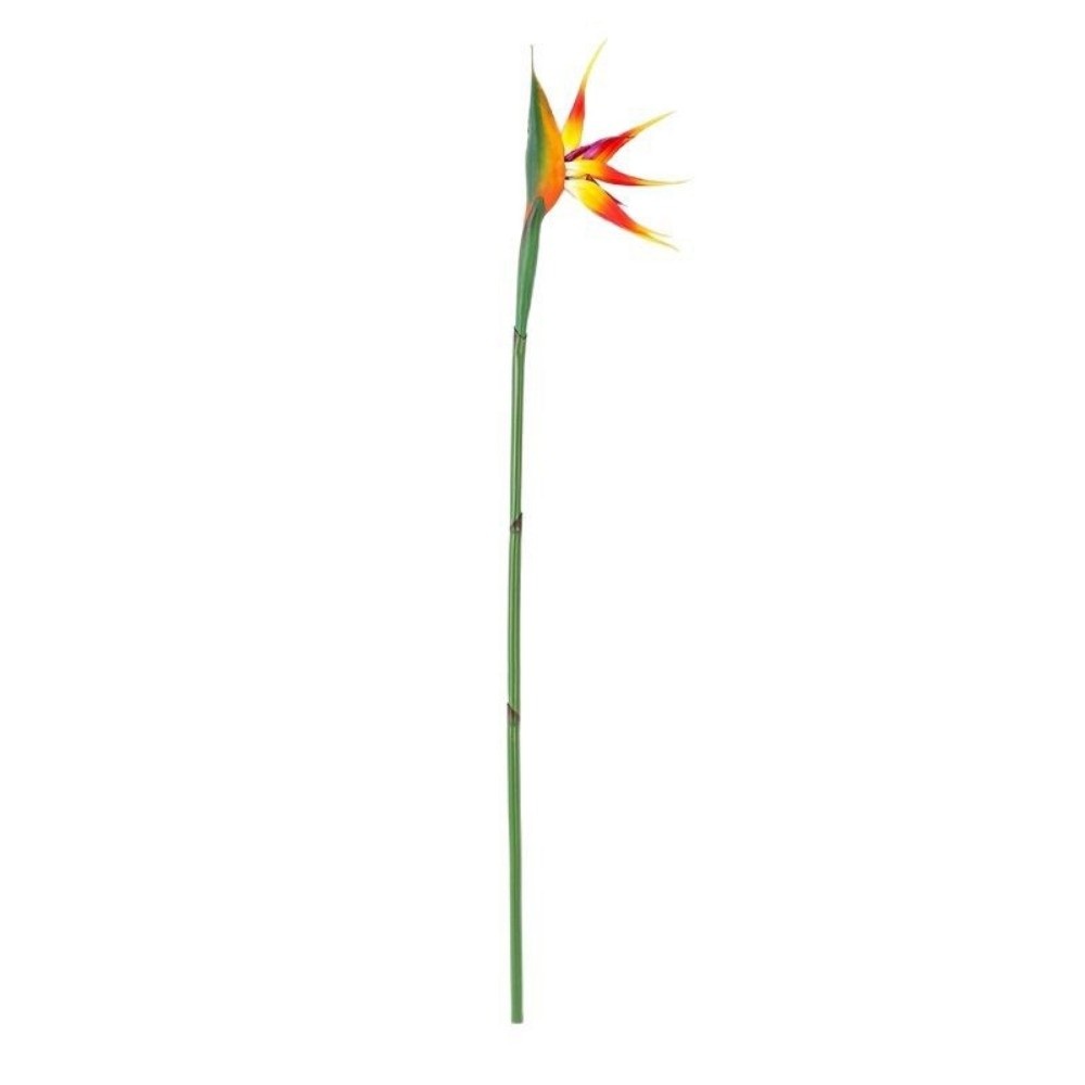 Künstliche Strelitzie mit Lang – Bird Paradise Strelitzia Bewertung und Preis