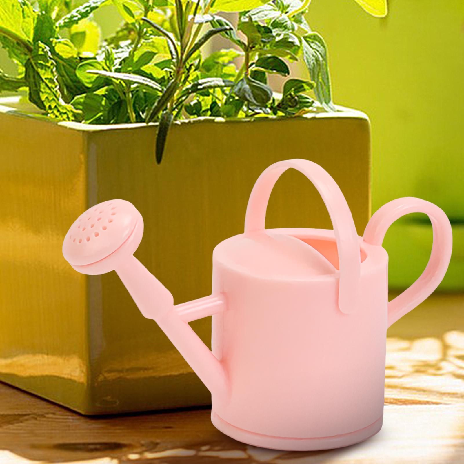 Kleine Gießkanne für Kinder, f – Echeveria Succulent Bewertung und Preis