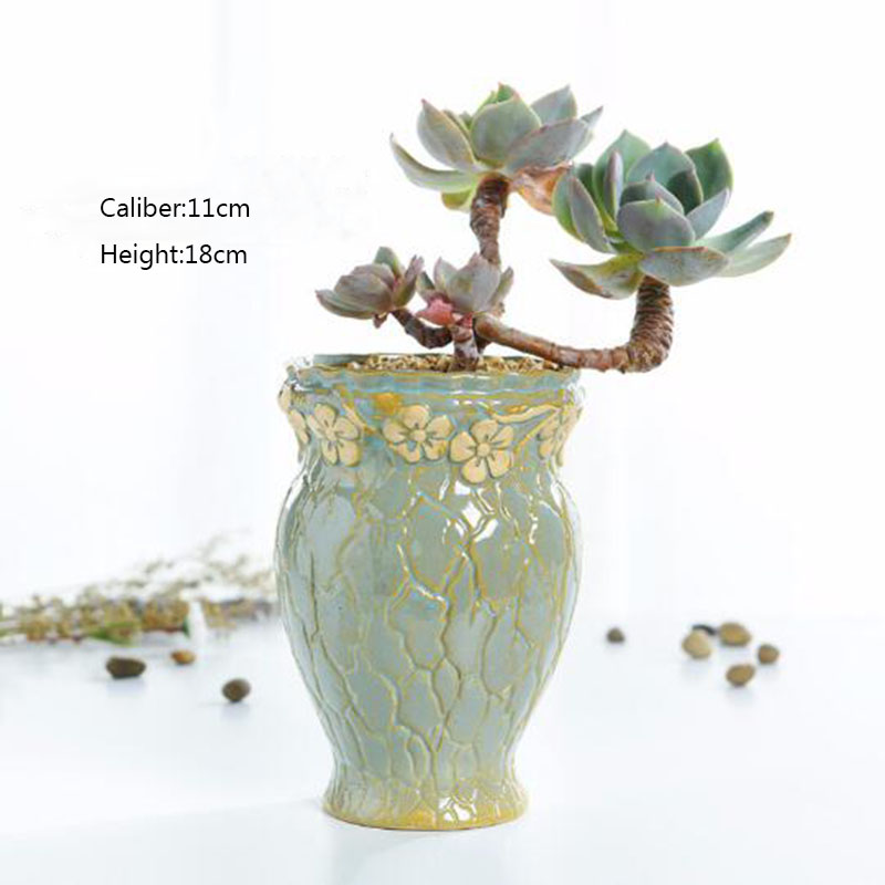 Sukkulenten Pflanzen Blumentop – Echeveria Succulent Bewertung und Preis