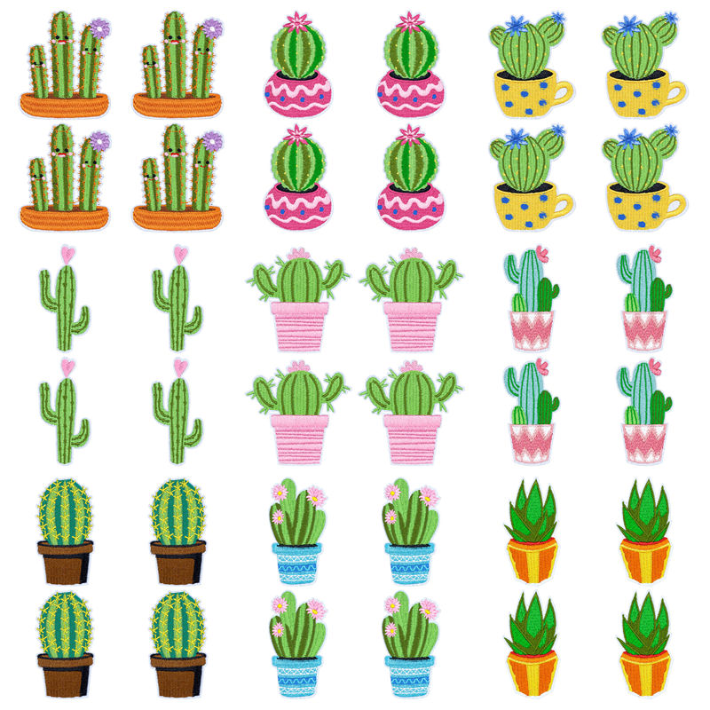 10 Stück/Set Western Desert Au – Aloe Vera Pot Bewertung und Preis