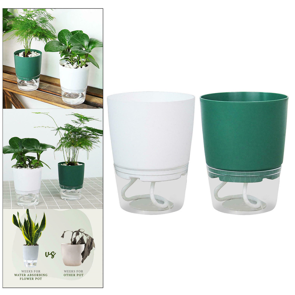 Lazy Hydroponic Blumentopf, au – Aloe Vera Pot Bewertung und Preis