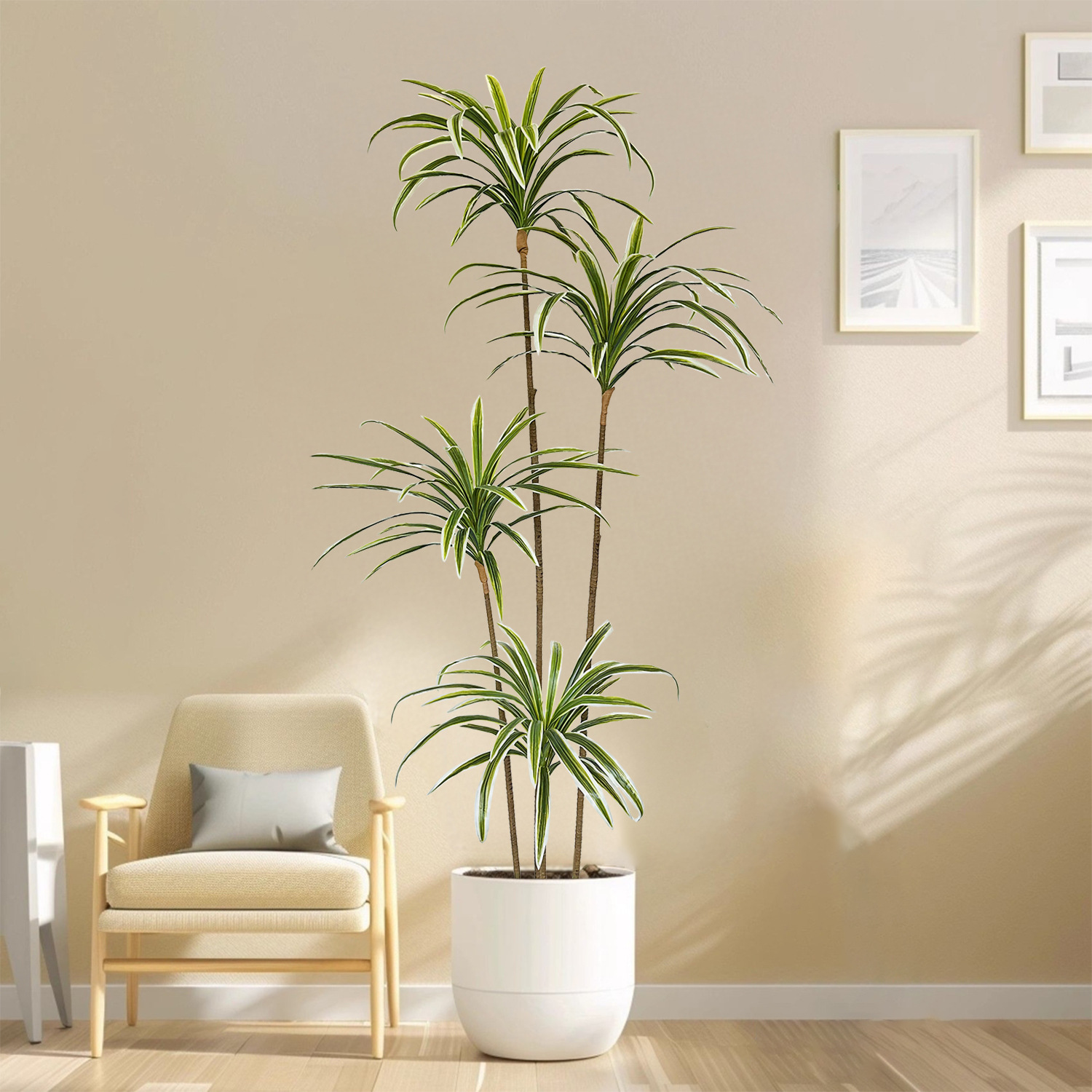 230 cm große künstliche Dracae – Dracaena Marginata Bewertung und Preis