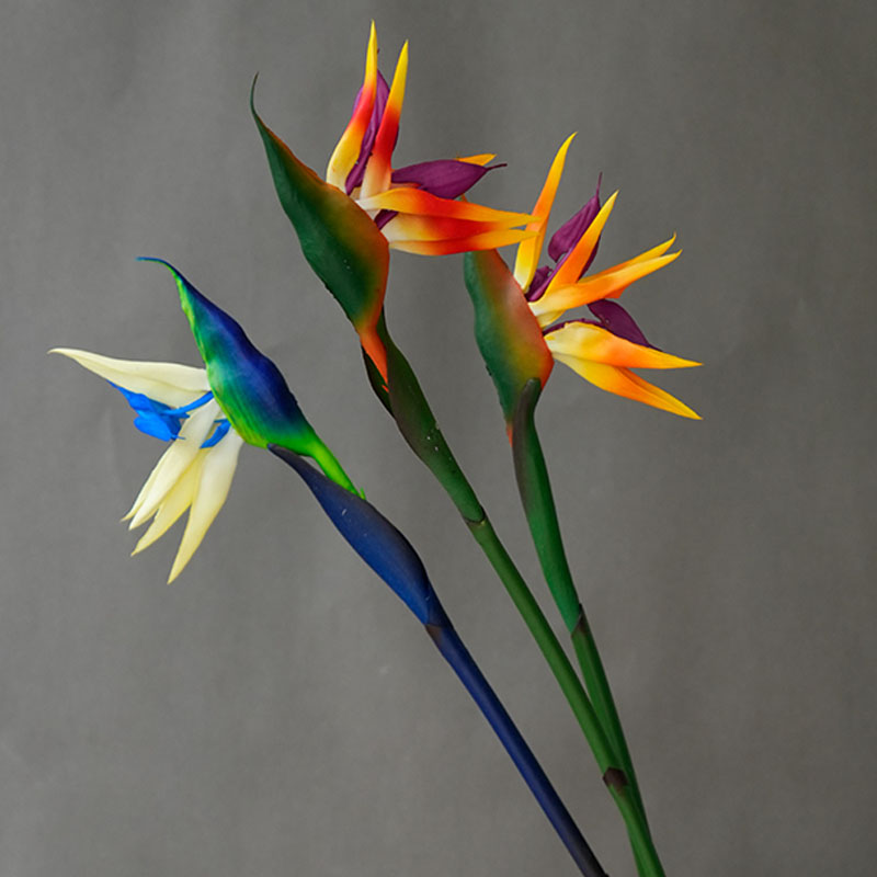1 Stück Künstliche Paradiesvog – Bird Paradise Strelitzia Bewertung und Preis